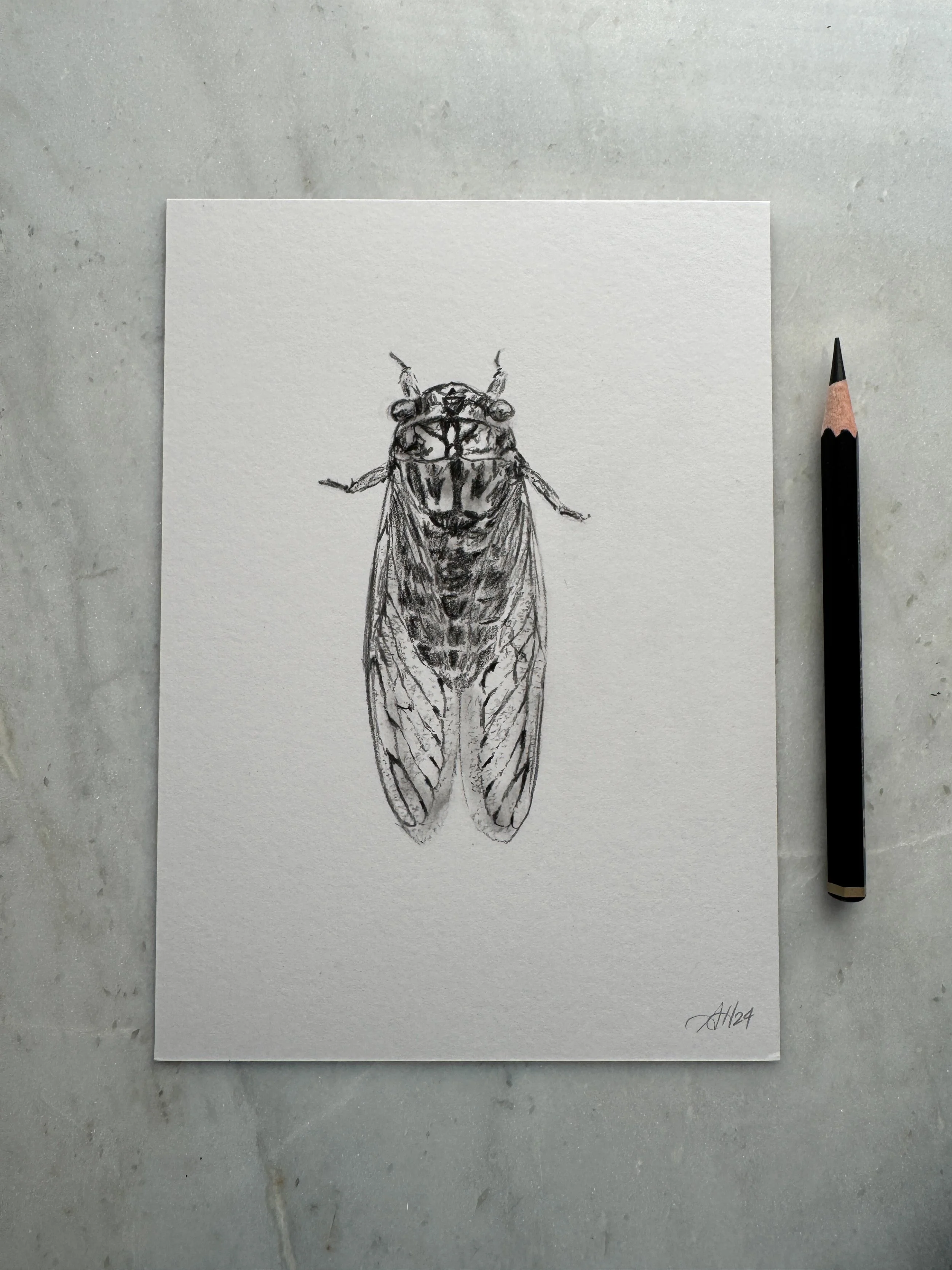 Original Studies & Sketches — Amy Hilger Studio
